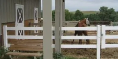 A horse stands near a white-fenced barn on a dirt ground, with trees and grassy fields visible in the background.