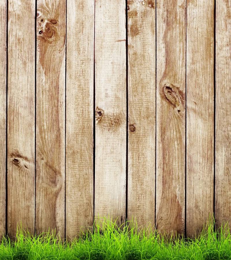 Weathered wooden fence with green grass