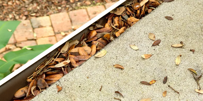 Gutter clogged with dead leaves on roof