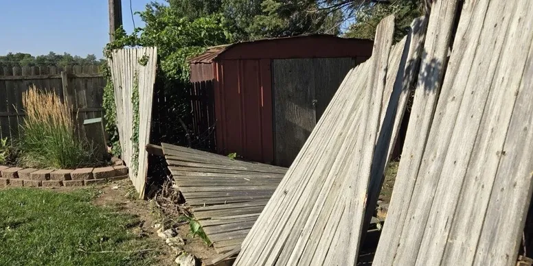 Collapsed wooden backyard fence by red shed