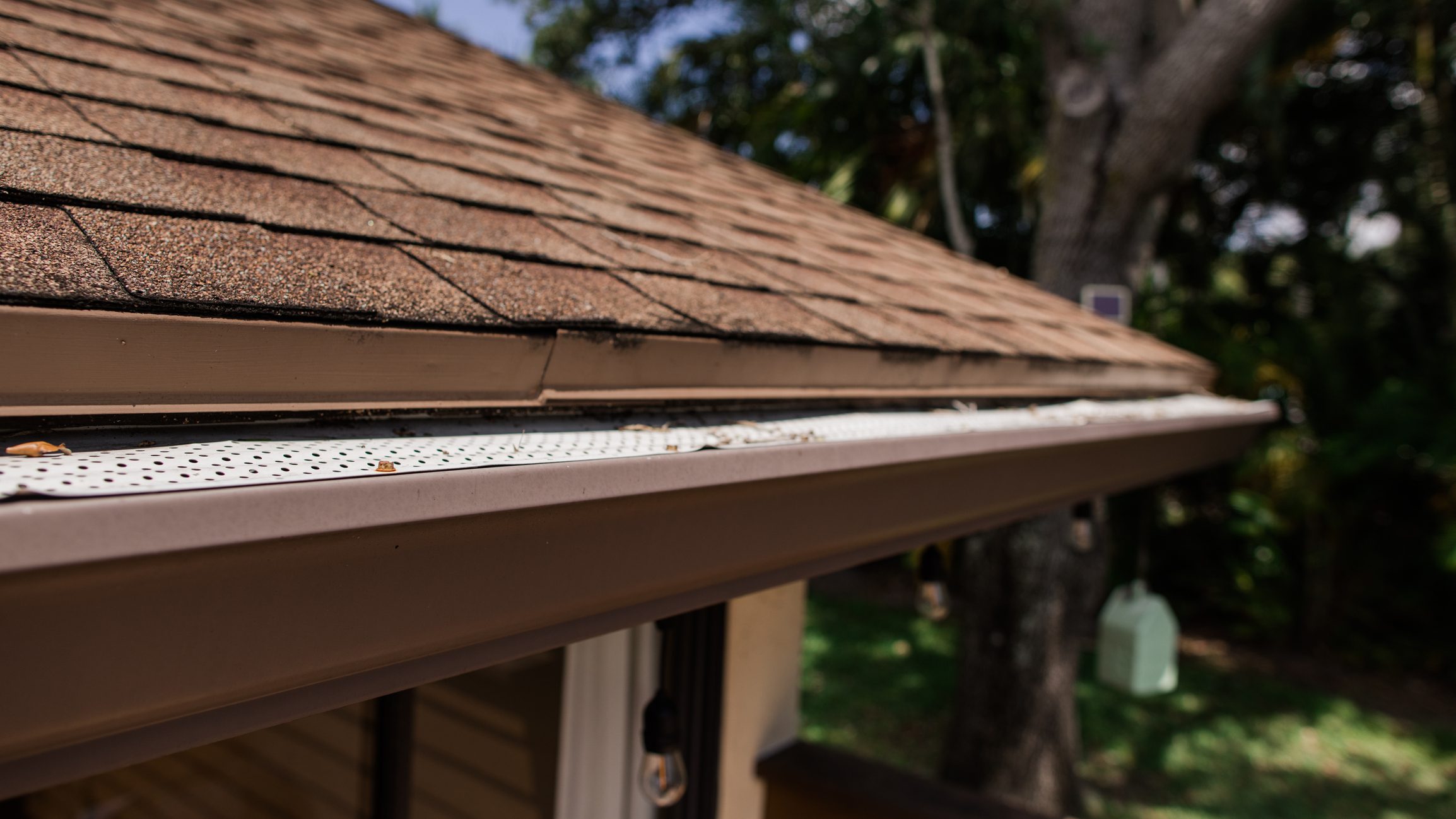 Dirty Dark Brown Metal Gutters on a South Florida Home Surrounded by Tropical Plants &amp; Palm Trees in the Spring of 2023