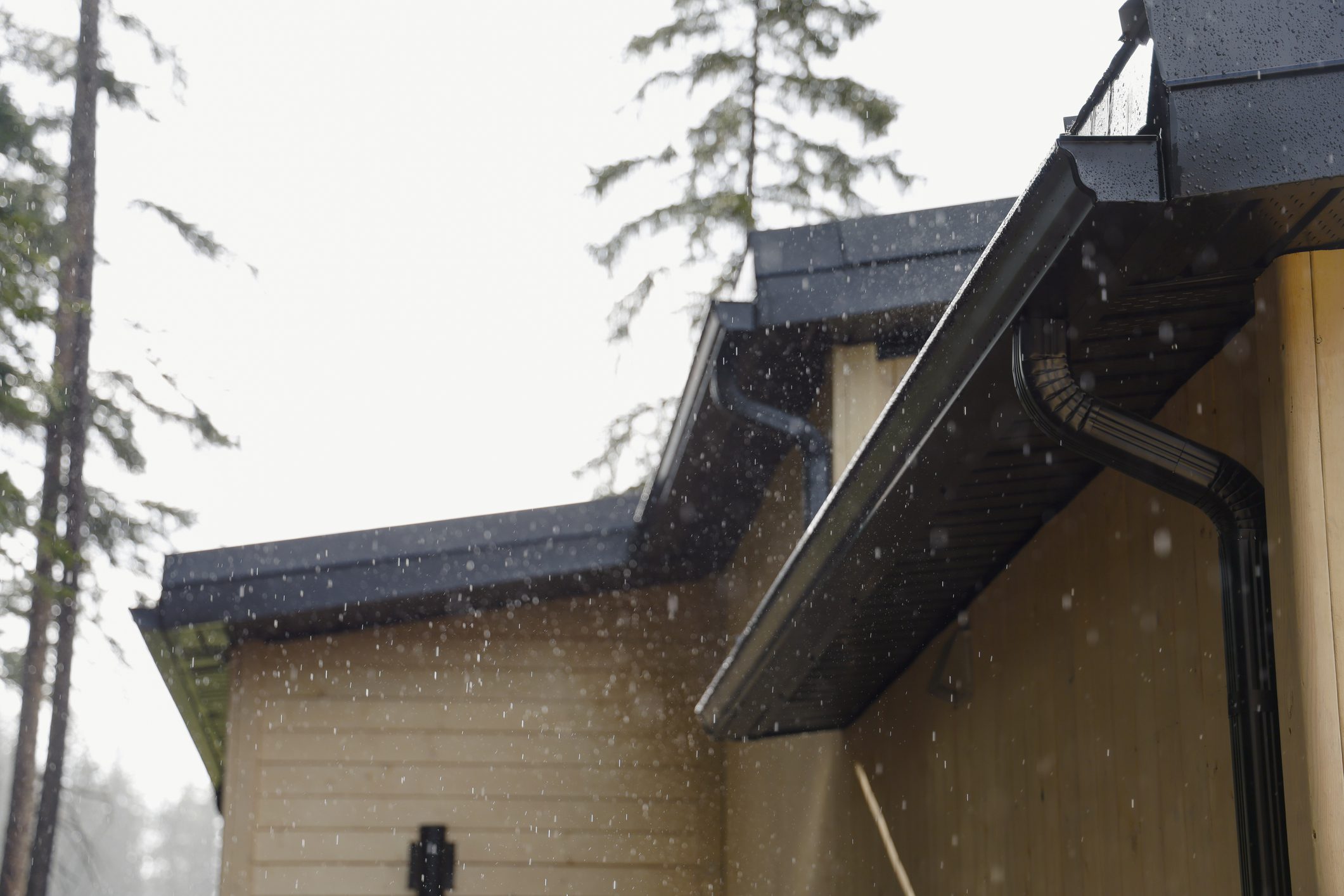 Heavy rainfall on cottage with metal roof and eaves troughs, wood siding, Canadian Rockies, Alberta