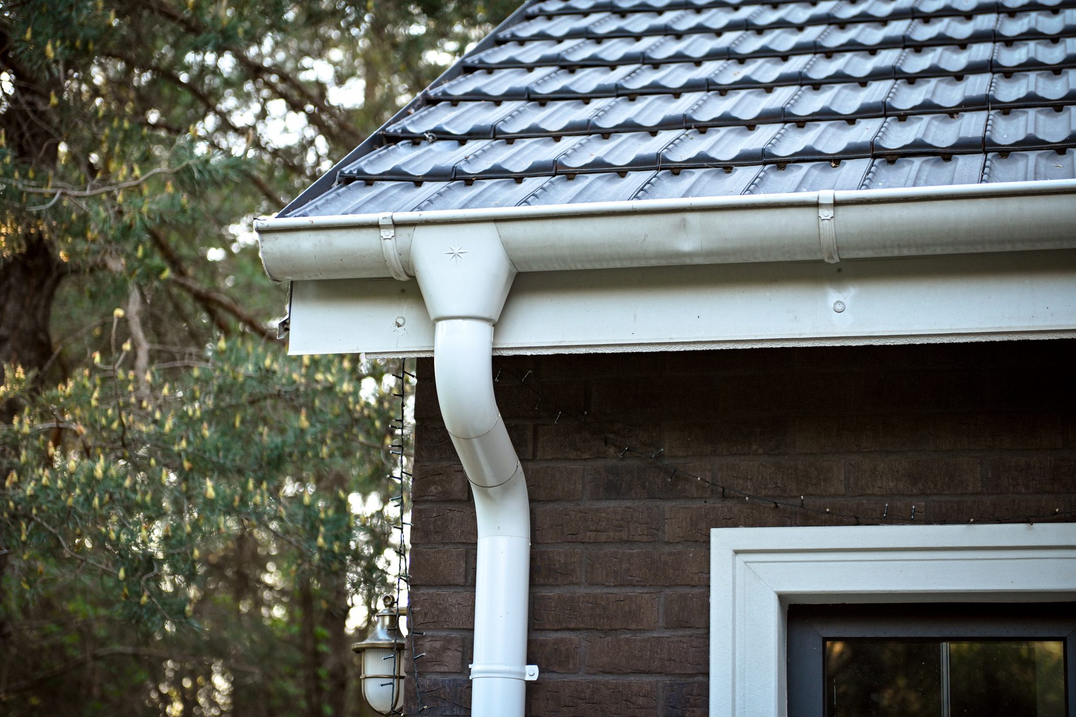 Rain pipe