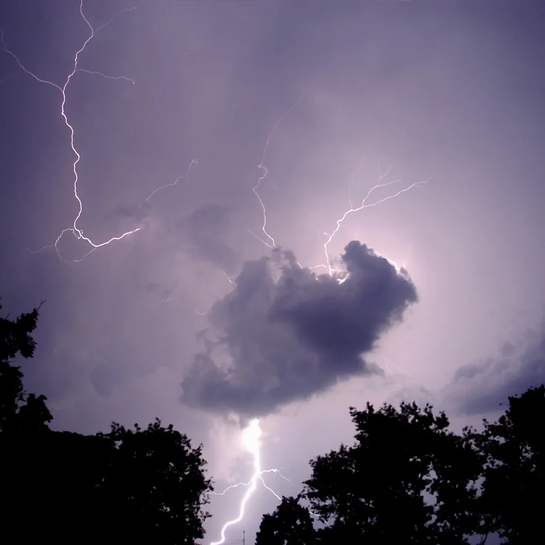 Lightning striking through cloud above silhouetted trees