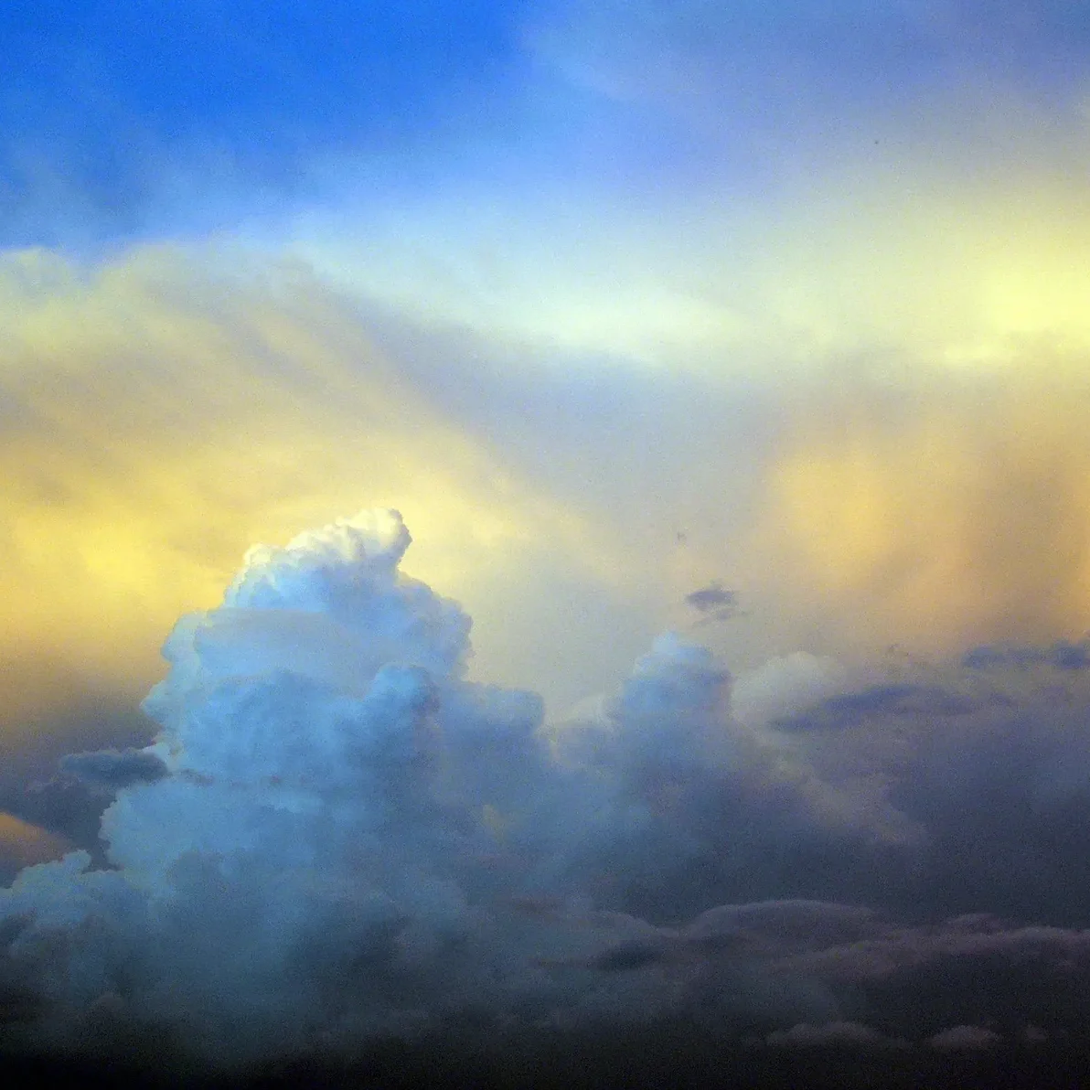 Sunlit towering cumulus clouds